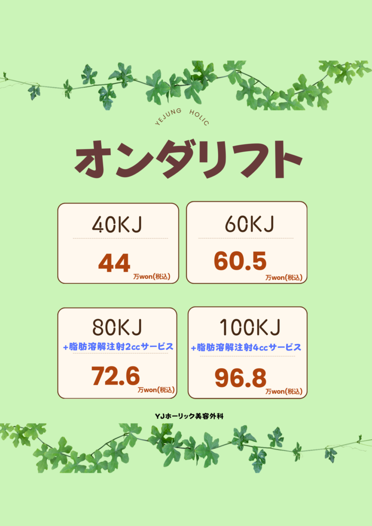 オンダリフト通常価格 (a4)