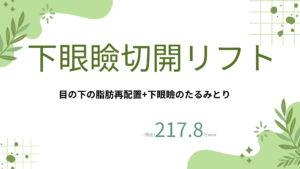 整形メニュー (2)