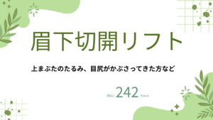 整形メニュー (3)