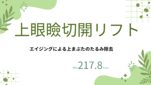 整形メニュー (4)