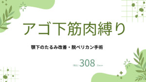 整形メニュー (5)