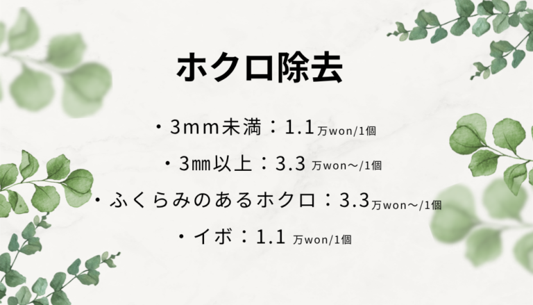 hokuro1